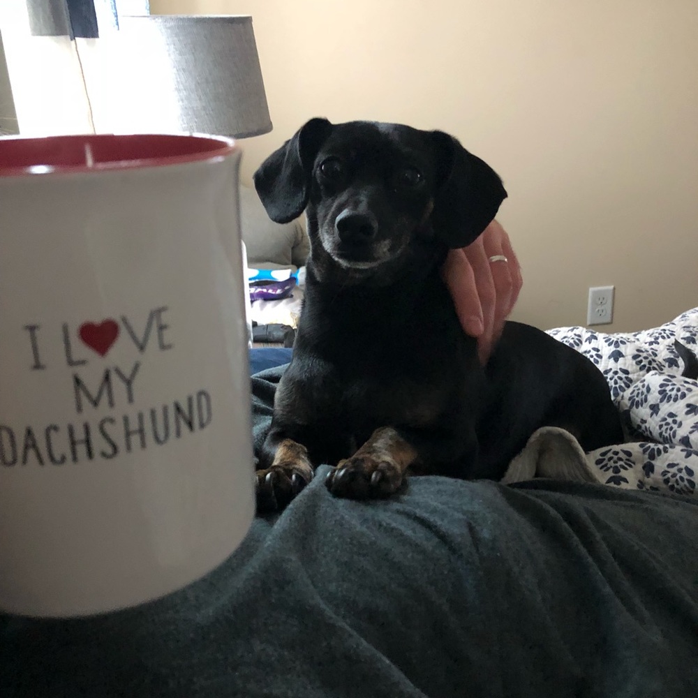 Meet your Posher, Marisa